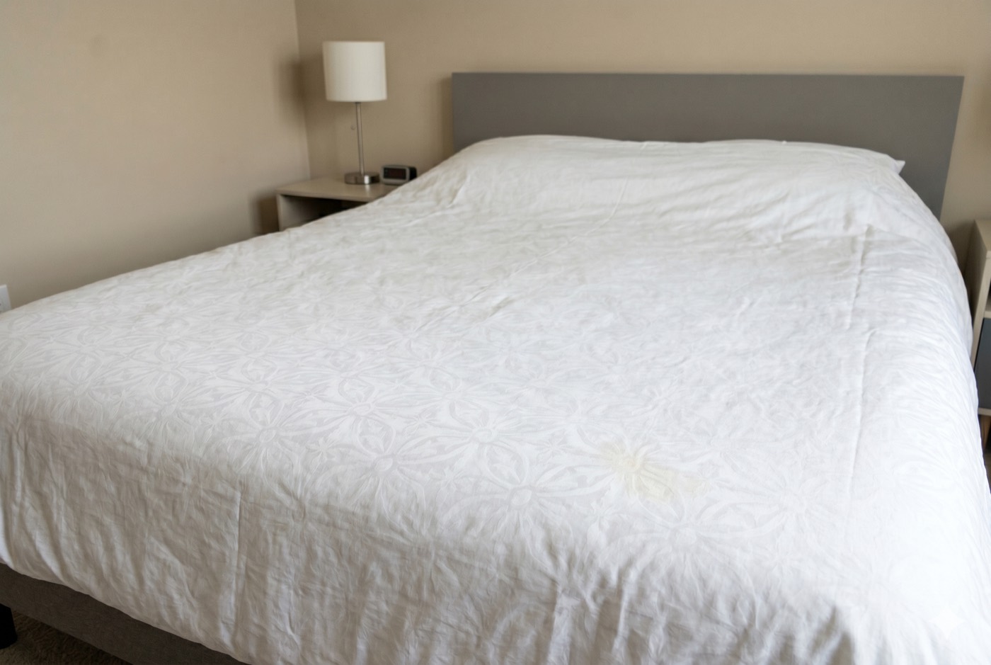 Turnover walkthrough frame — bedroom under scan